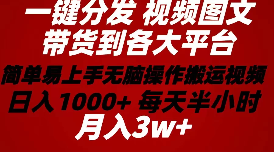 （10667期）2024年 一键分发带货图文视频  简单易上手 无脑赚收益 每天半小时日入1…-后生网课库