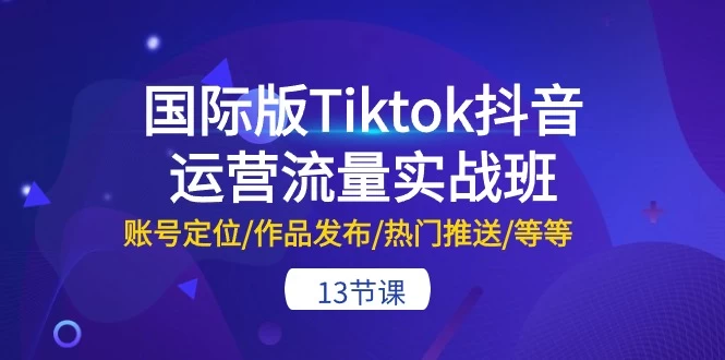 (10712期)国际版Tiktok抖音运营流量实战班:账号定位/作品发布/热门推送/等等-13节-后生网课库