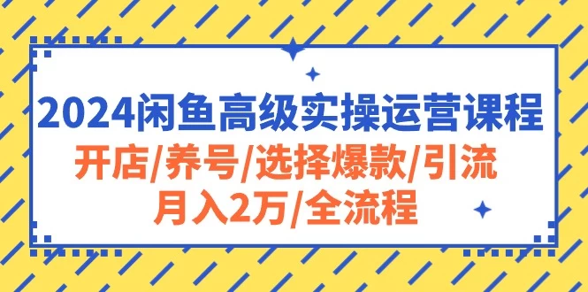 (10711期)2024闲鱼高级实操运营课程:开店/养号/选择爆款/引流/月入2万/全流程-后生网课库