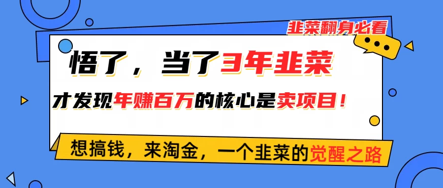(10759期)悟了,当了3年韭菜,才发现网赚圈年赚100万的核心是卖项目,含泪分享!-后生网课库