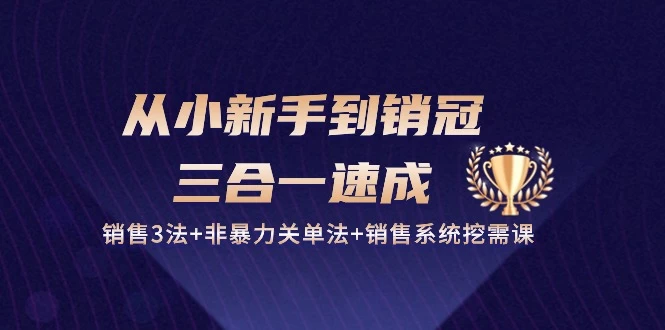 （10799期）从小新手到销冠 三合一速成：销售3法+非暴力关单法+销售系统挖需课 (27节)-后生网课库